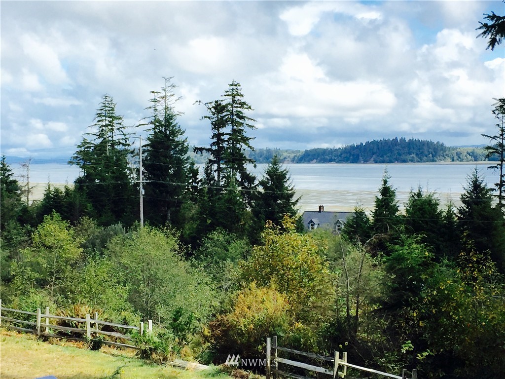 20109 Sandridge Road Long Beach, WA 98631 - Photo 2 of 21 Gallery Image 2