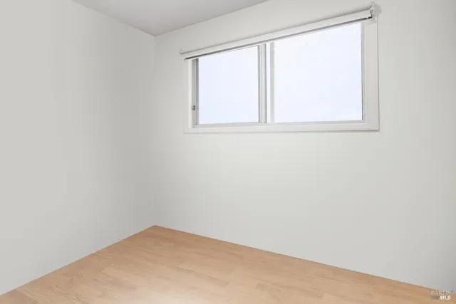 a view of a yard with a trees