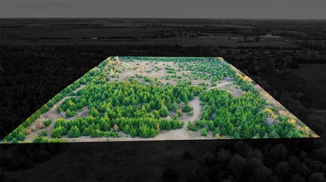 a view of a pathway with a garden