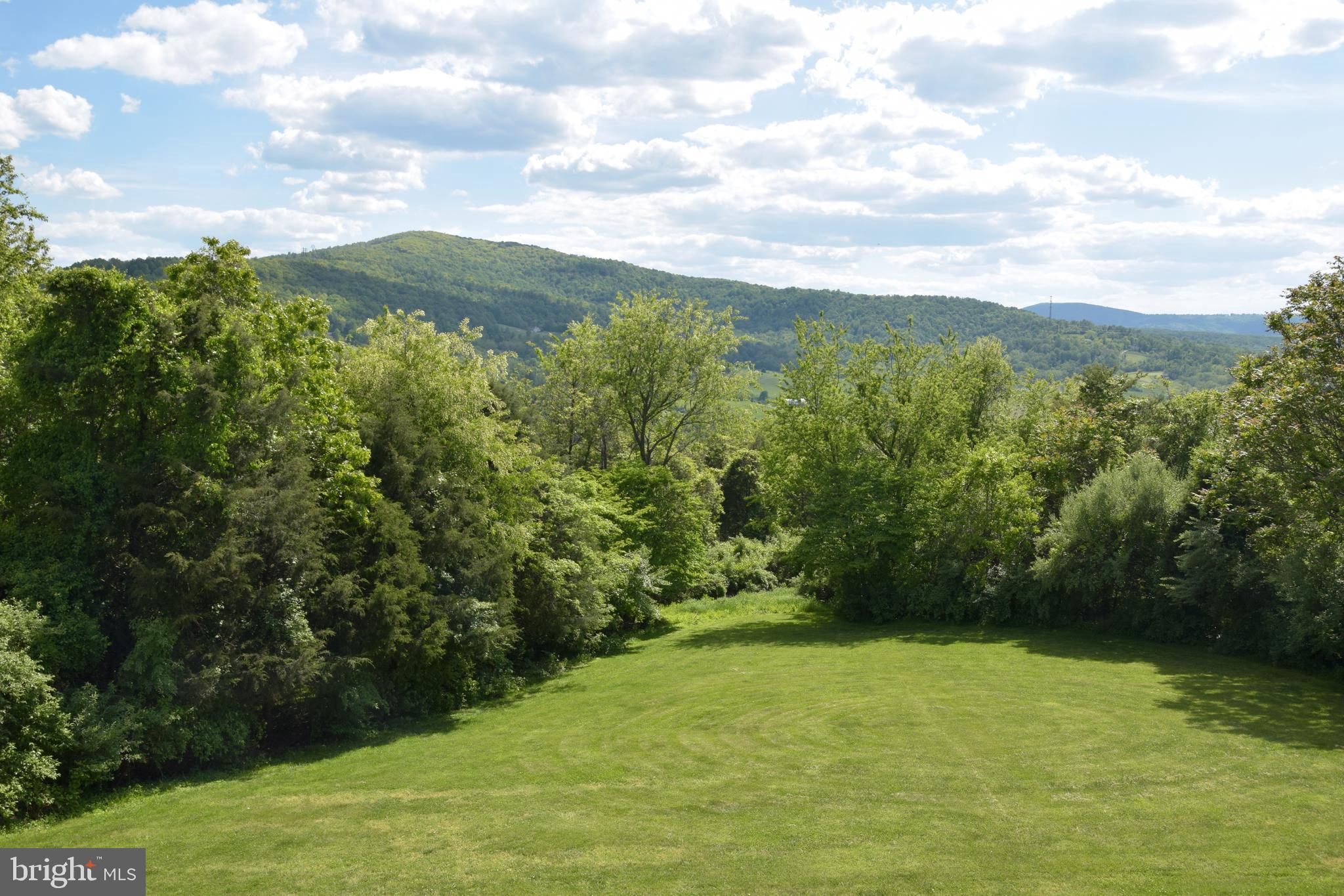 245 Wealthy Road Linden, VA 22642 - Photo 4 of 4