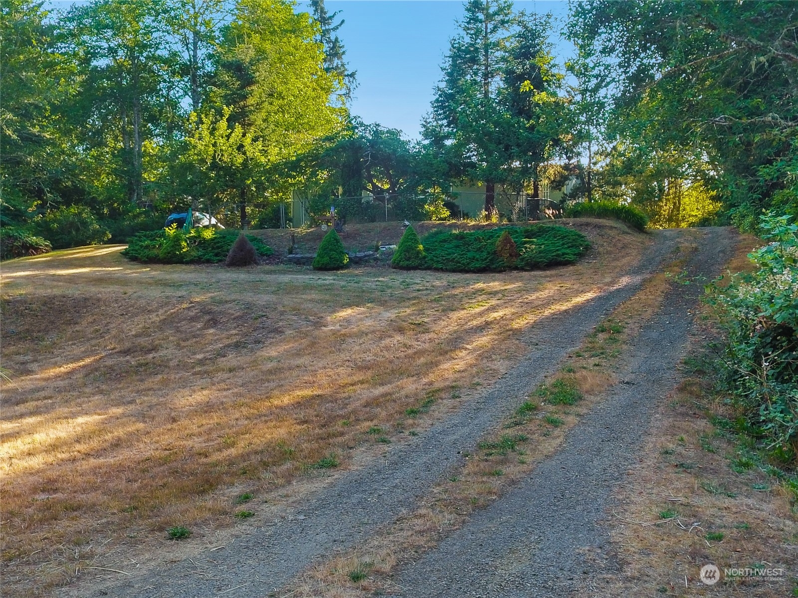 30511 Stackpole Lane Ocean Park, WA 98640 - Photo 34 of 40 a view of a yard with plants and trees