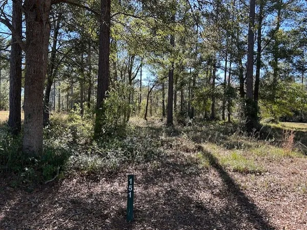 $25,000 | Lot 151 Sapelo Park Dr Drive, Townsend, GA 31331