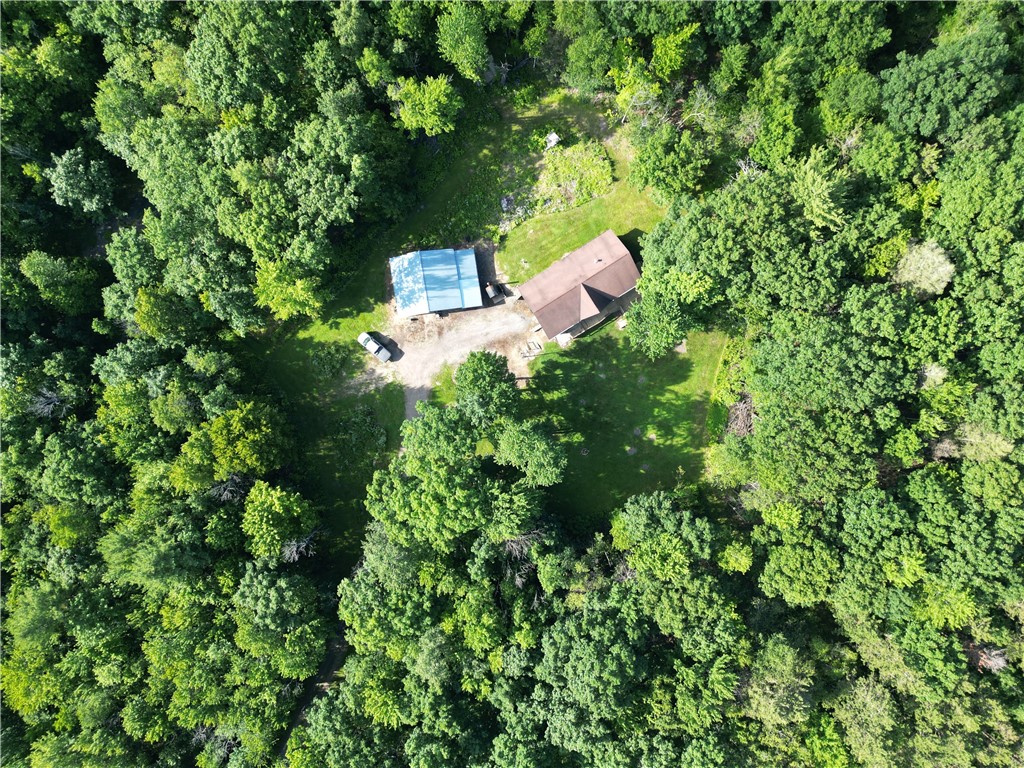 4679 Cook Road Woodhull, NY 14898 - Photo 48 of 49