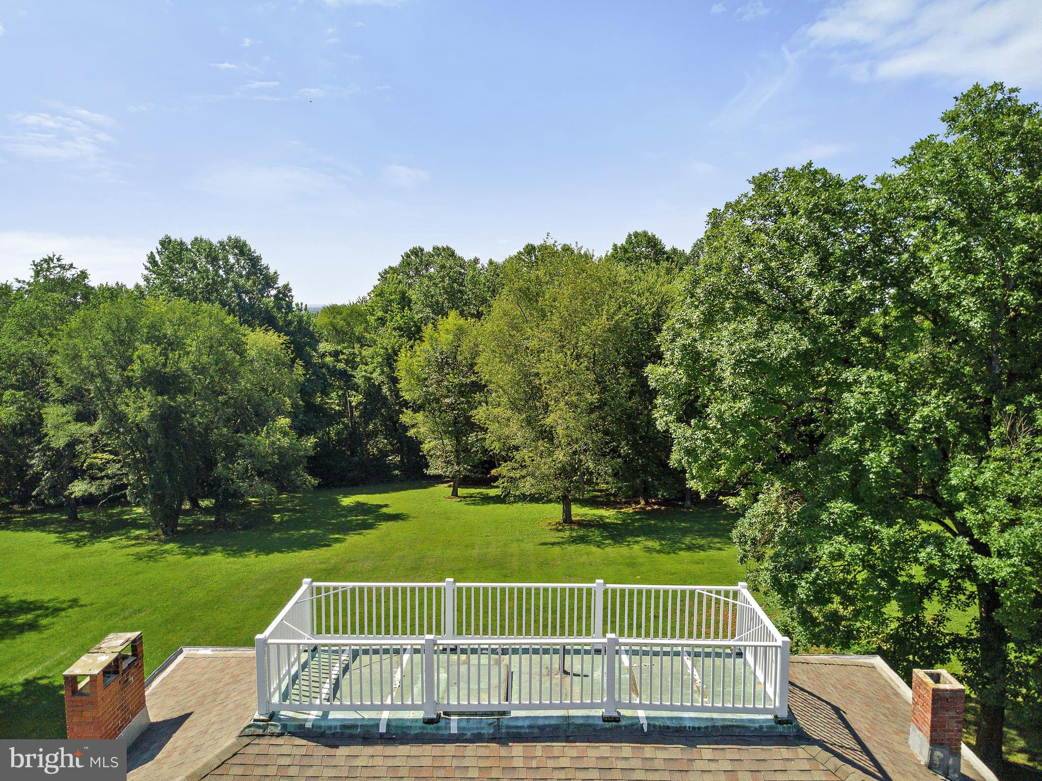 135 Kemp Lane Elkton, MD 21921 - Photo 33 of 38 Rooftop Widow's Walk