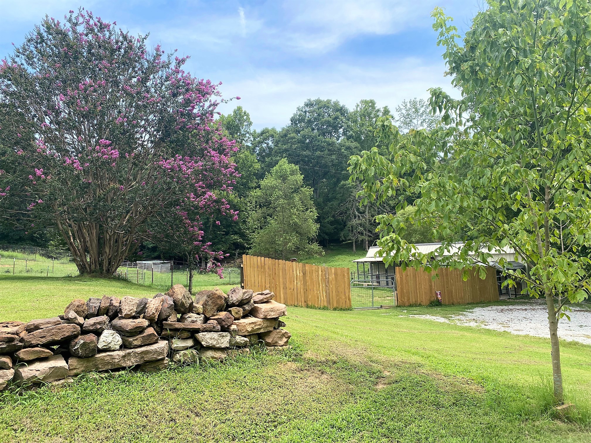 280 Blunt Road Decaturville, TN 38329 - Photo 5 of 38 Gallery Image 5