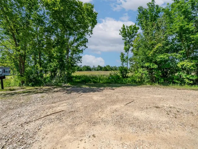 a view of a yard with plants and trees