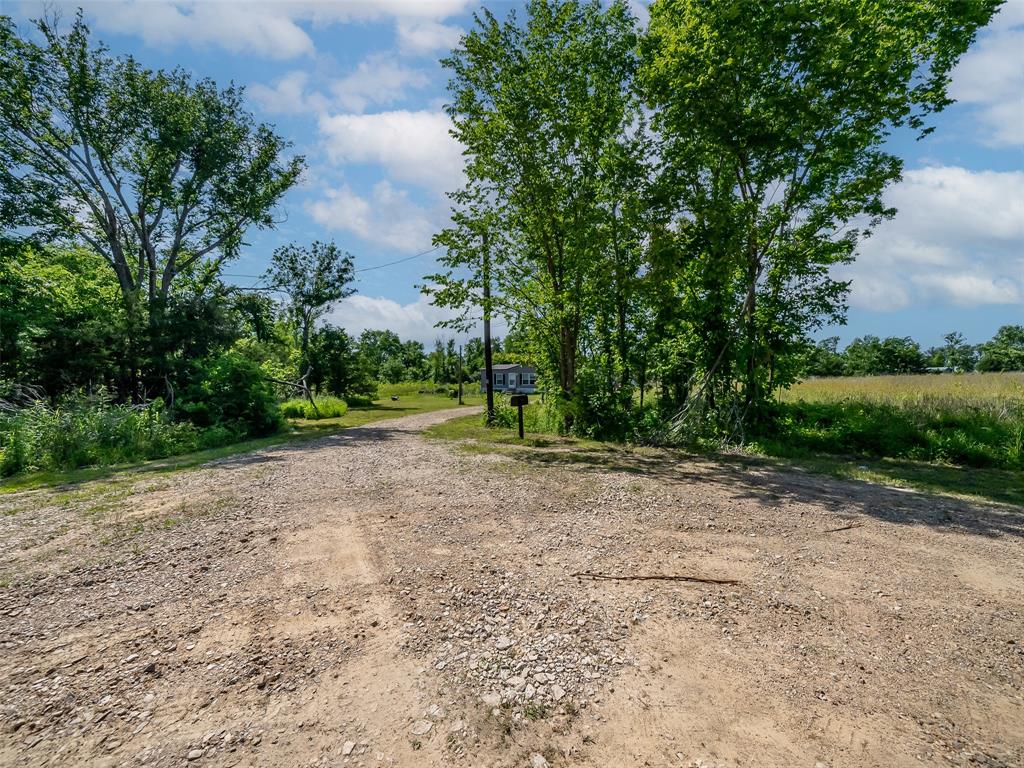 23070 County Road Powderly, TX 75473 - Photo 8 of 35 a view of outdoor space with trees all around