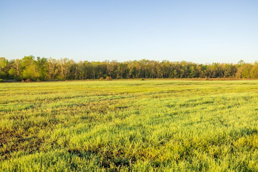 South Hayden Bridge Road Harrisonville, MO 64701 - Photo 8 of 25
