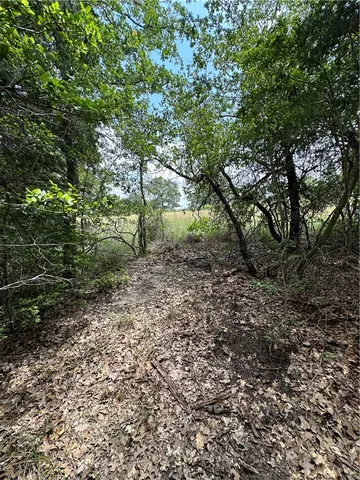 $44,900 | 0 Recreational Road 4, Somerville, TX 77879