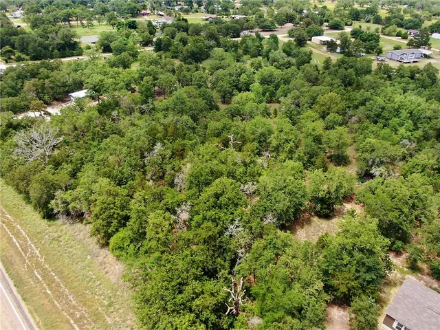 view of a forest with a houses