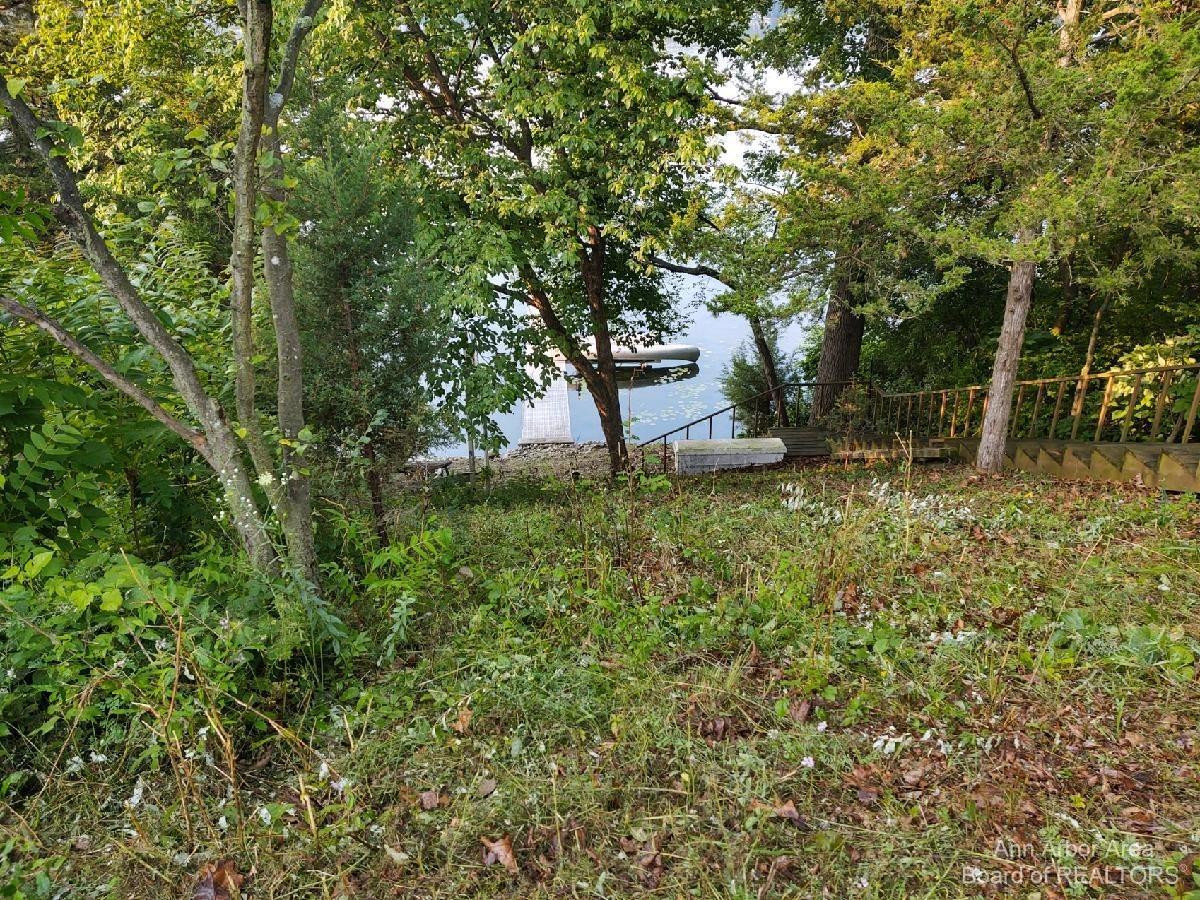 0 Gilbert Gregory, MI 48137 - Photo 7 of 7 Photo 7