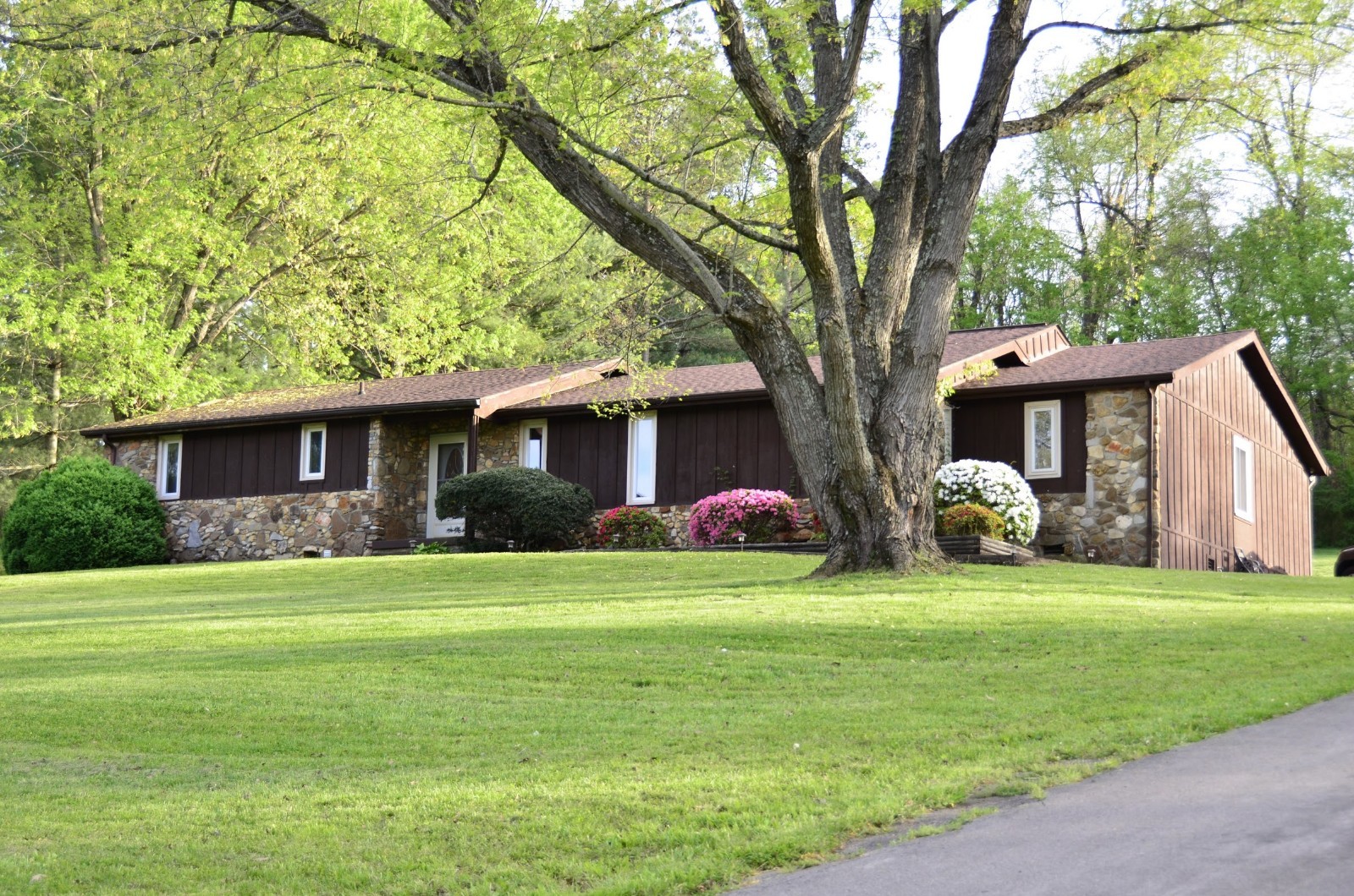 200 Dean Road Clarksville, TN 37040 - Photo 5 of 5 a view of a house with a yard and large trees