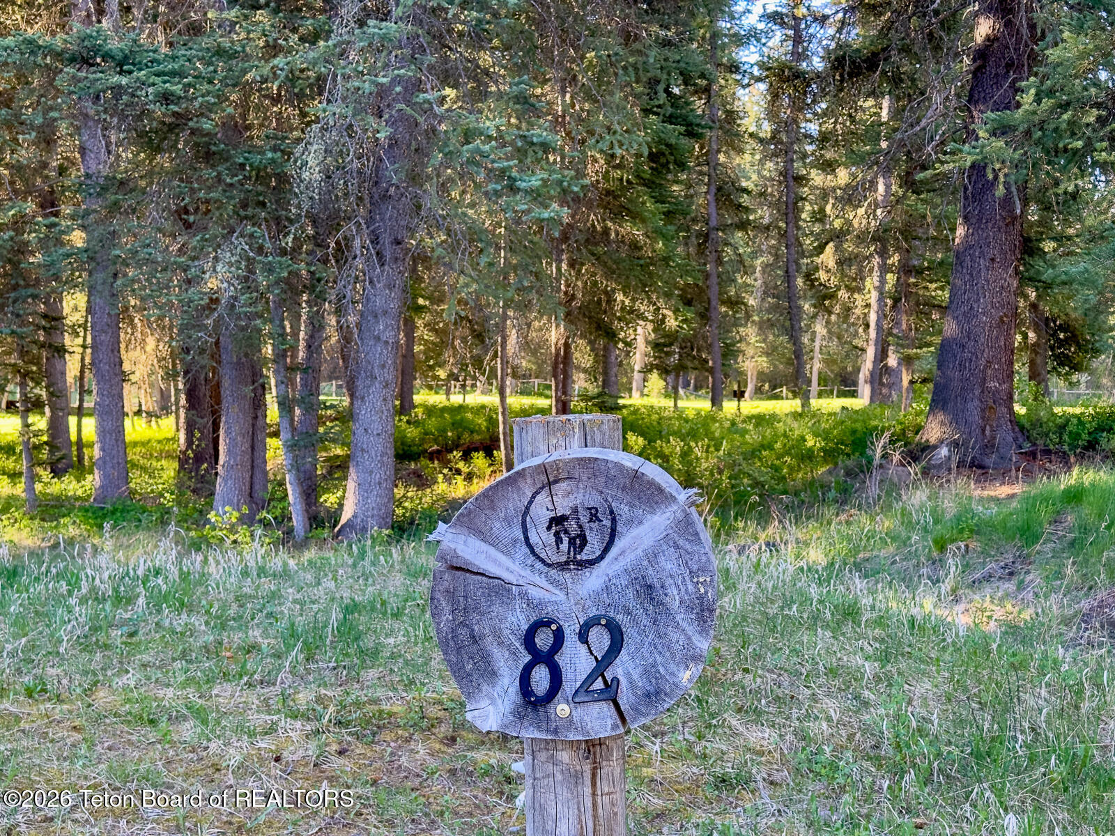 15635 Wagon Road Jackson, WY 83001 - Photo 2 of 20 IMG_5405