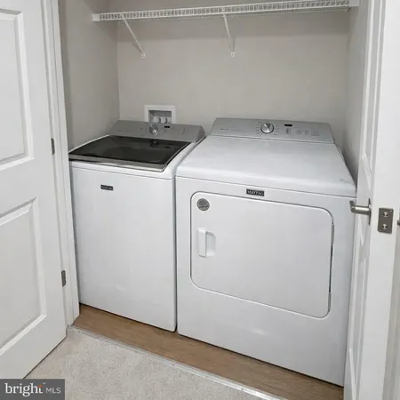 a view of a backyard with trees