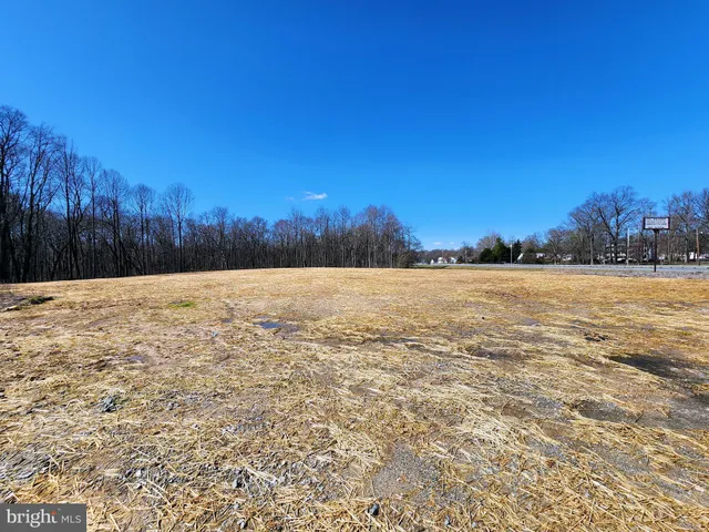 a view of outdoor space and trees