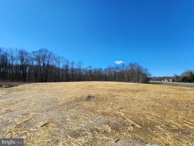 a view of an outdoor space and a yard