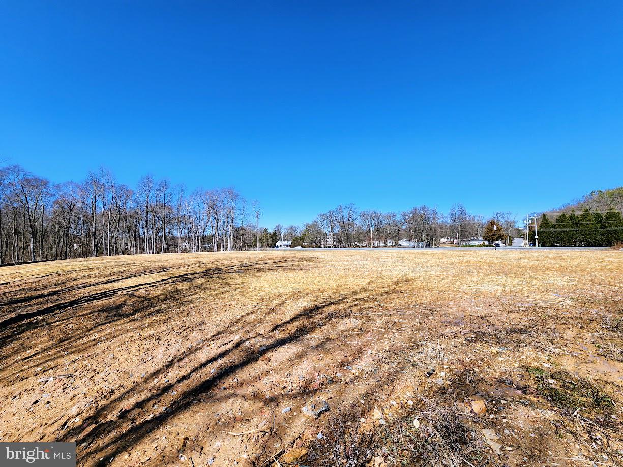 Pulaski Highway Elkton, MD 21921 - Photo 5 of 6 a view of an outdoor space and trees