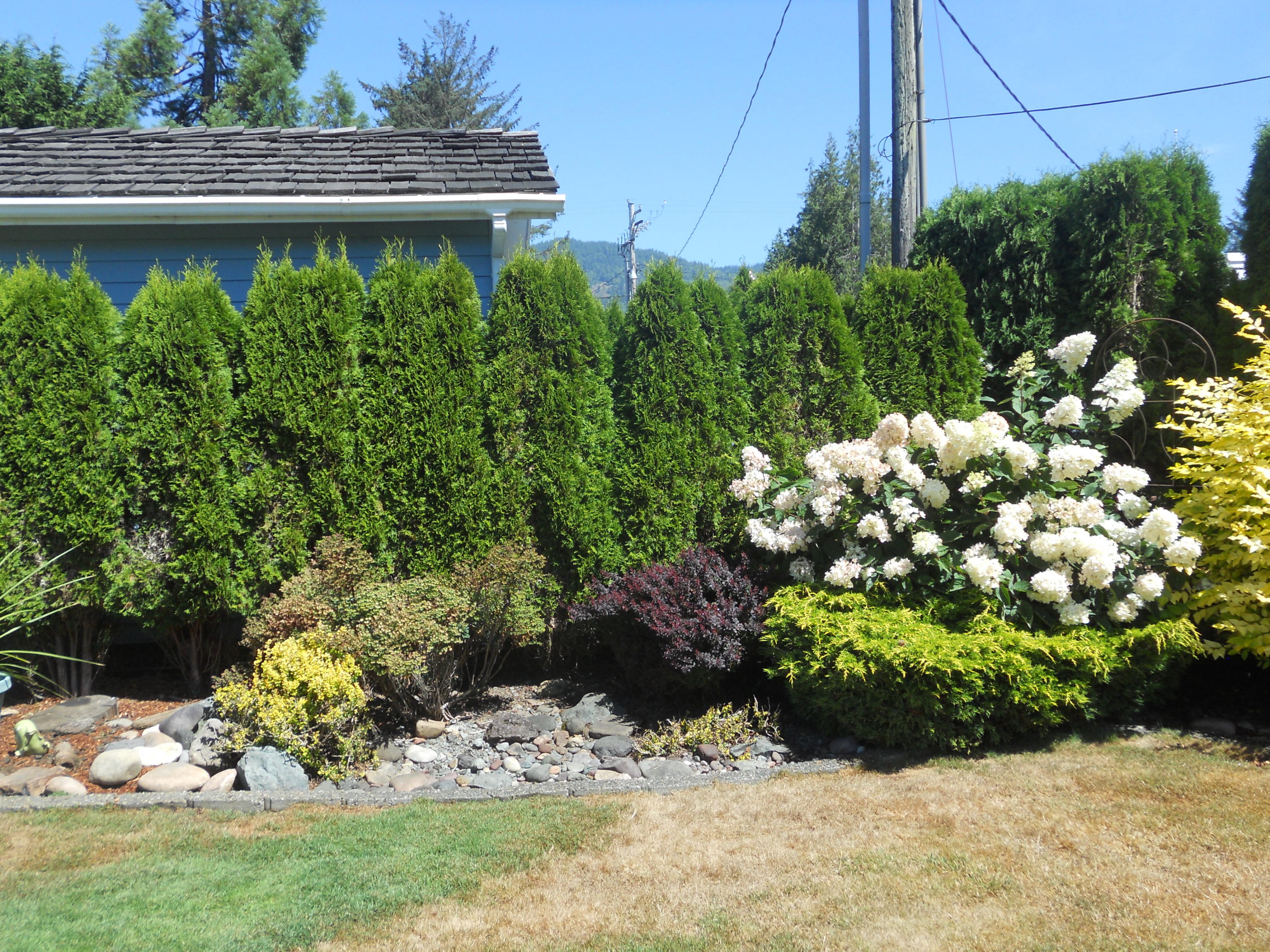 7325 Alderbrook Road Tillamook, OR 97141 - Photo 62 of 81 Koehler 104
