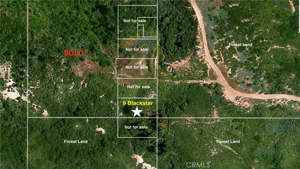 9 Black Star Canyon Road Silverado, CA 92676 - Photo 2 of 11