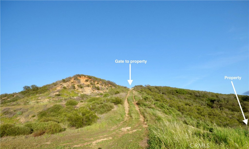9 Black Star Canyon Road Silverado, CA 92676 - Photo 8 of 11 a view of a big yard