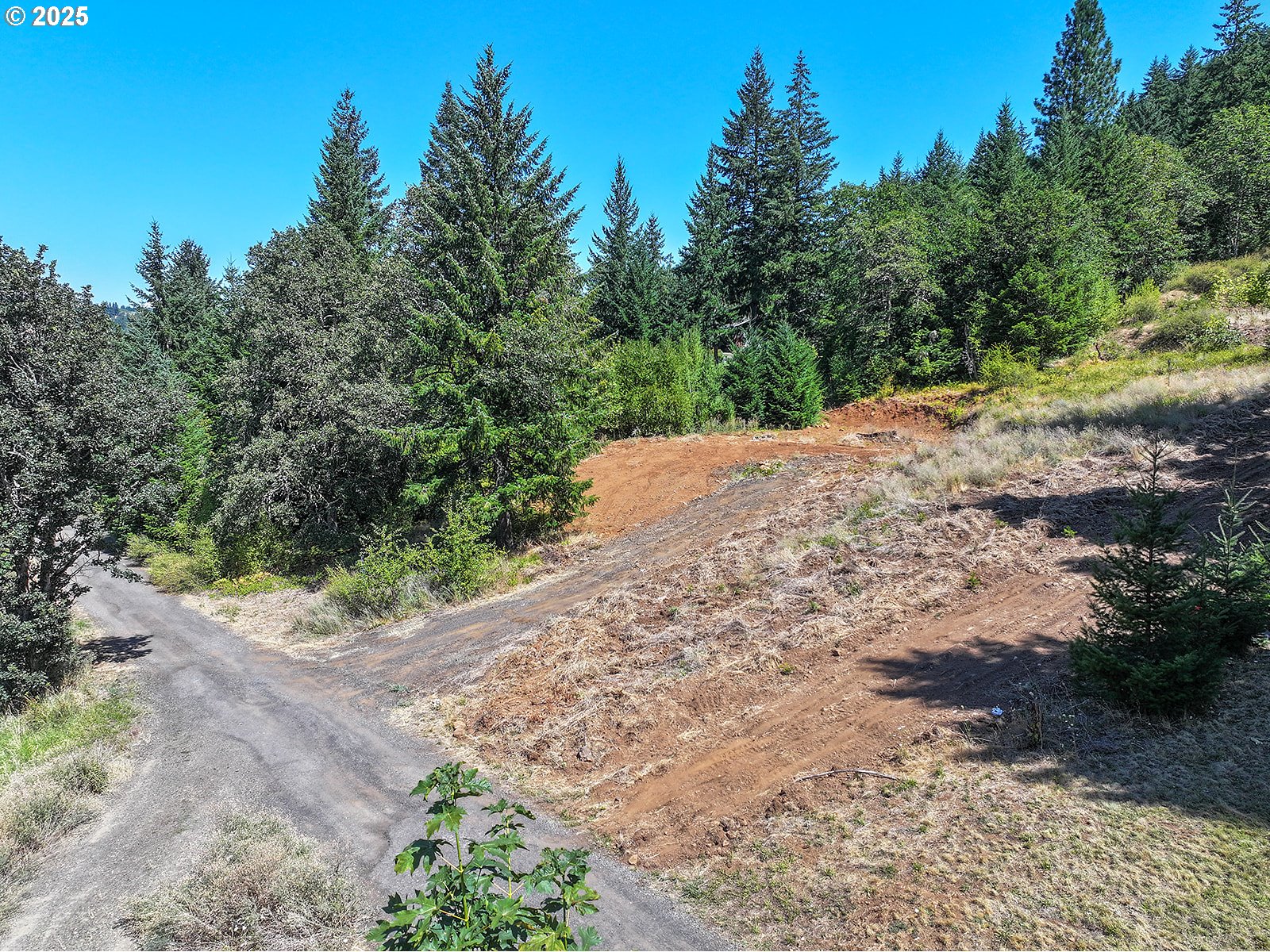 a view of a road with a trees in the background