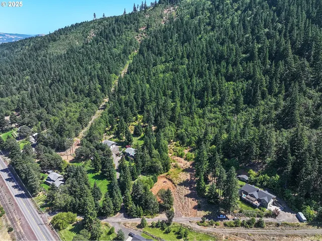 a view of a garden with plants