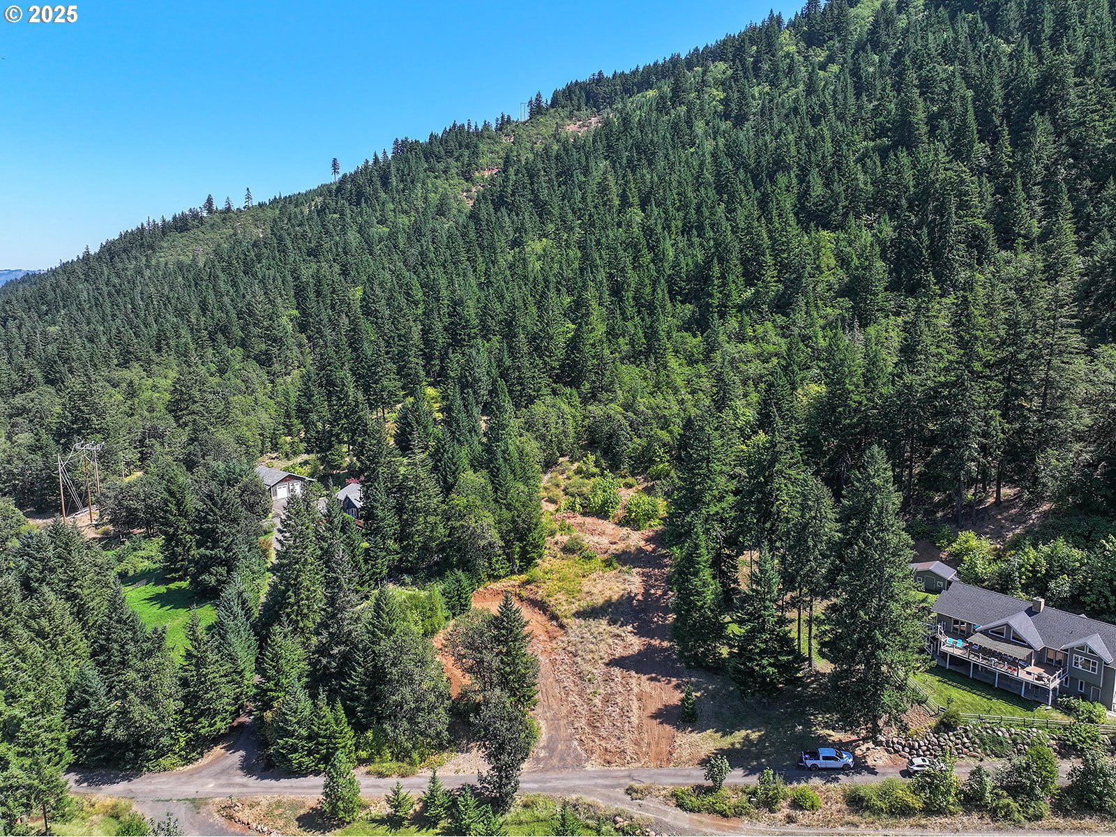 3355 James Road Hood River, OR 97031 - Photo 17 of 19 a view of a forest with a tree