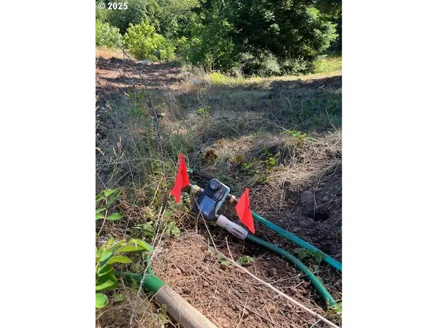 a backyard of a house with lots of green space