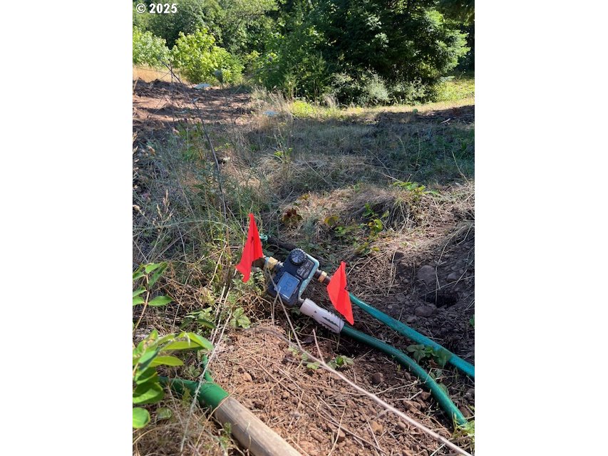 3355 James Road Hood River, OR 97031 - Photo 18 of 19 a backyard of a house with lots of green space