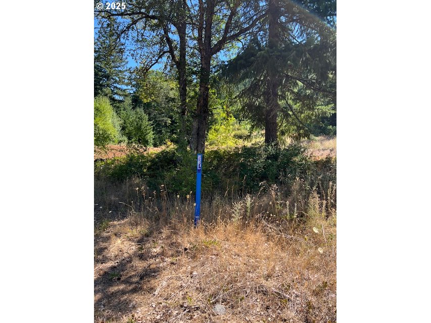 3355 James Road Hood River, OR 97031 - Photo 19 of 19 a lake view with a tree