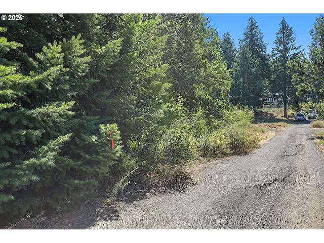 a view of a yard with a tree