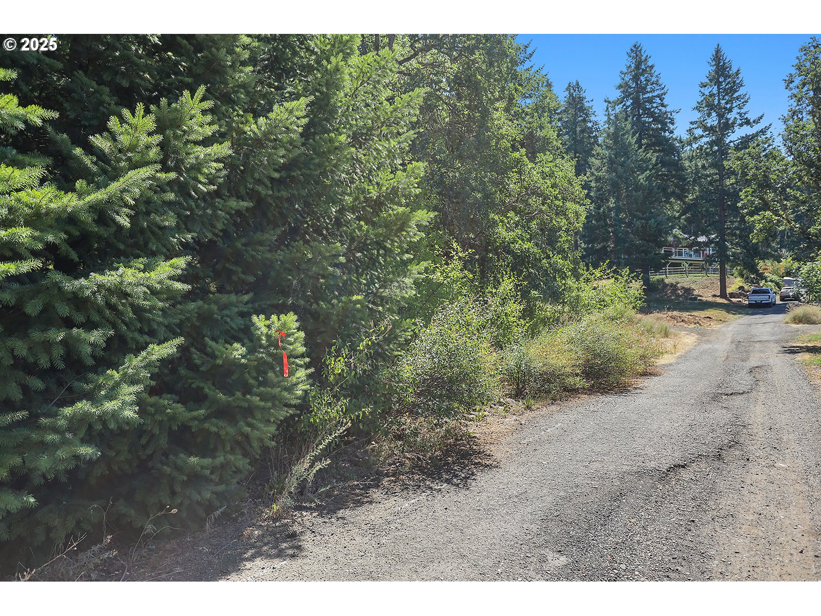 3355 James Road Hood River, OR 97031 - Photo 5 of 19 a view of a yard with a tree