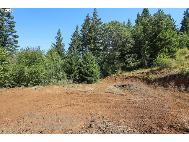 a view of a dirt yard with a mountain