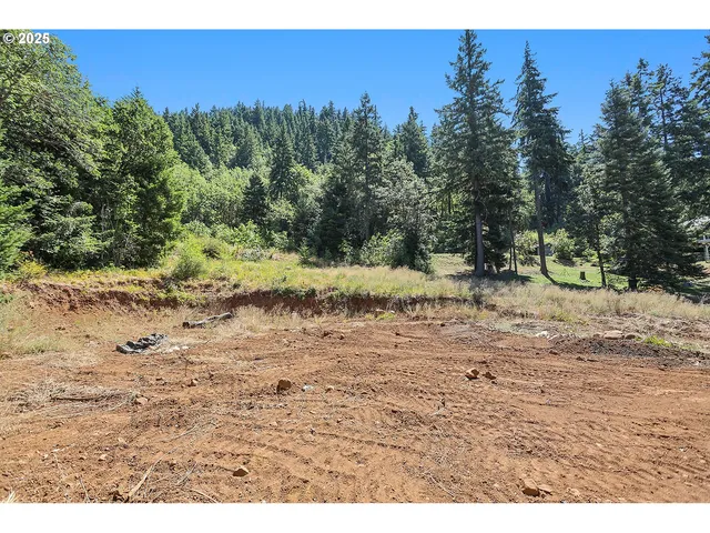 a view of a yard with a tree