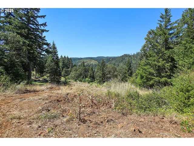 a view of a yard with a tree
