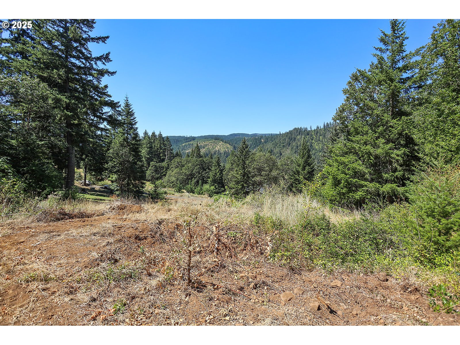 3355 James Road Hood River, OR 97031 - Photo 9 of 19 a view of a yard with a tree