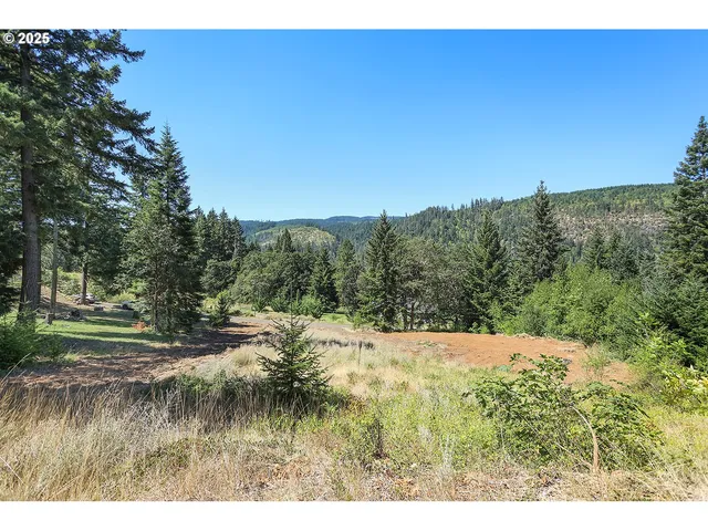 a view of a yard with a tree