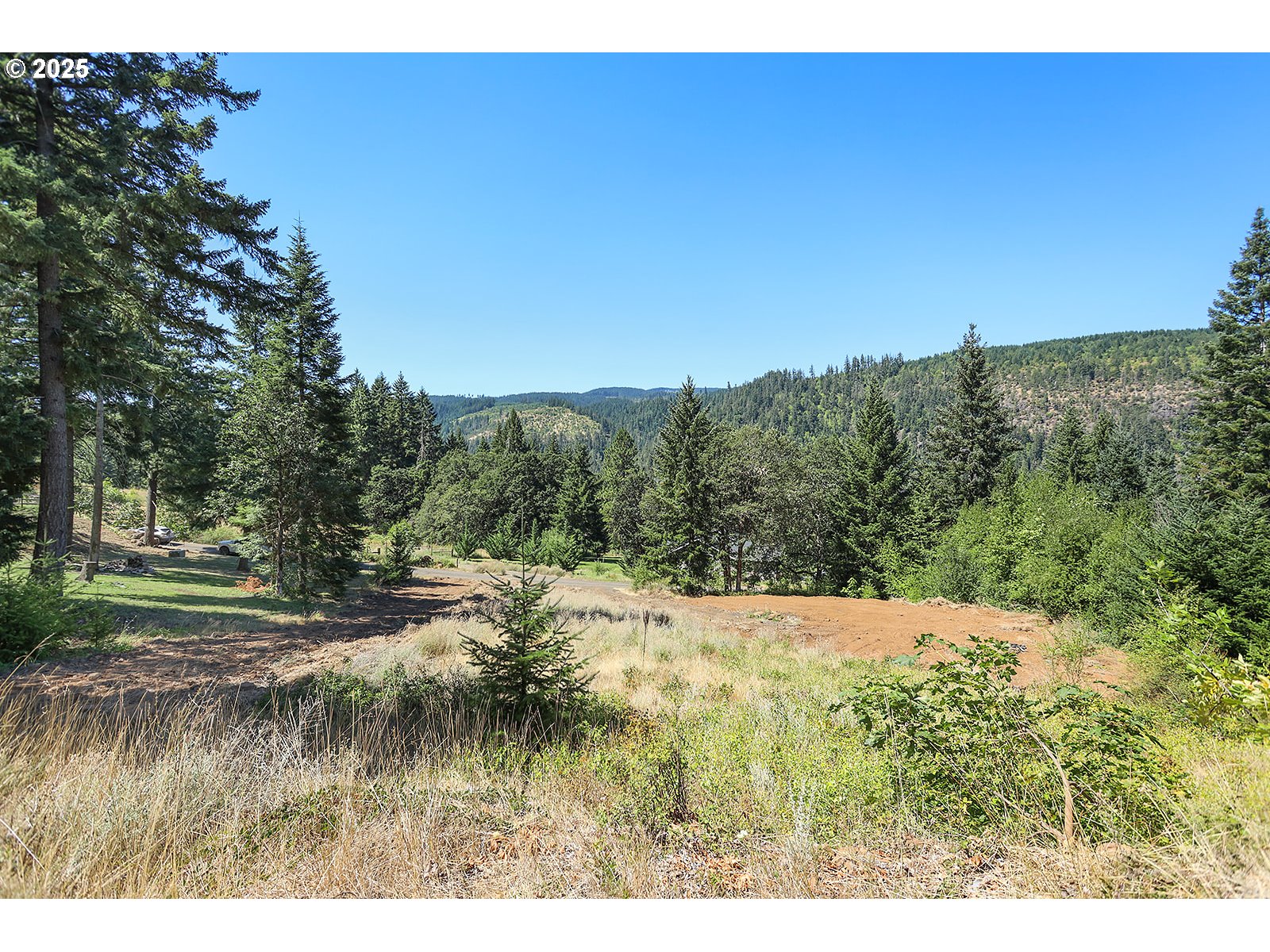 3355 James Road Hood River, OR 97031 - Photo 10 of 19 a view of a yard with a tree