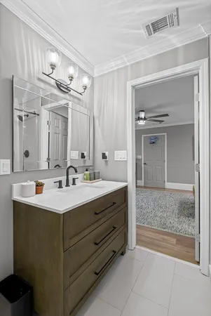 a view of a yard with plants and large trees