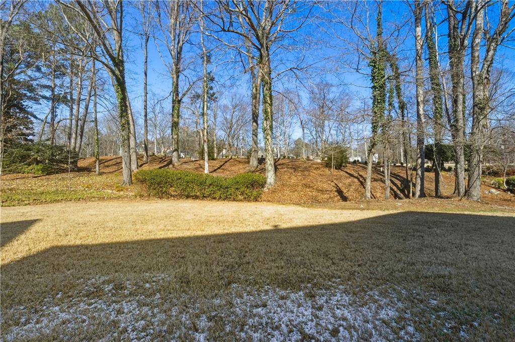 195 Jupiter Hills Point Duluth, GA 30097 - Photo 79 of 89