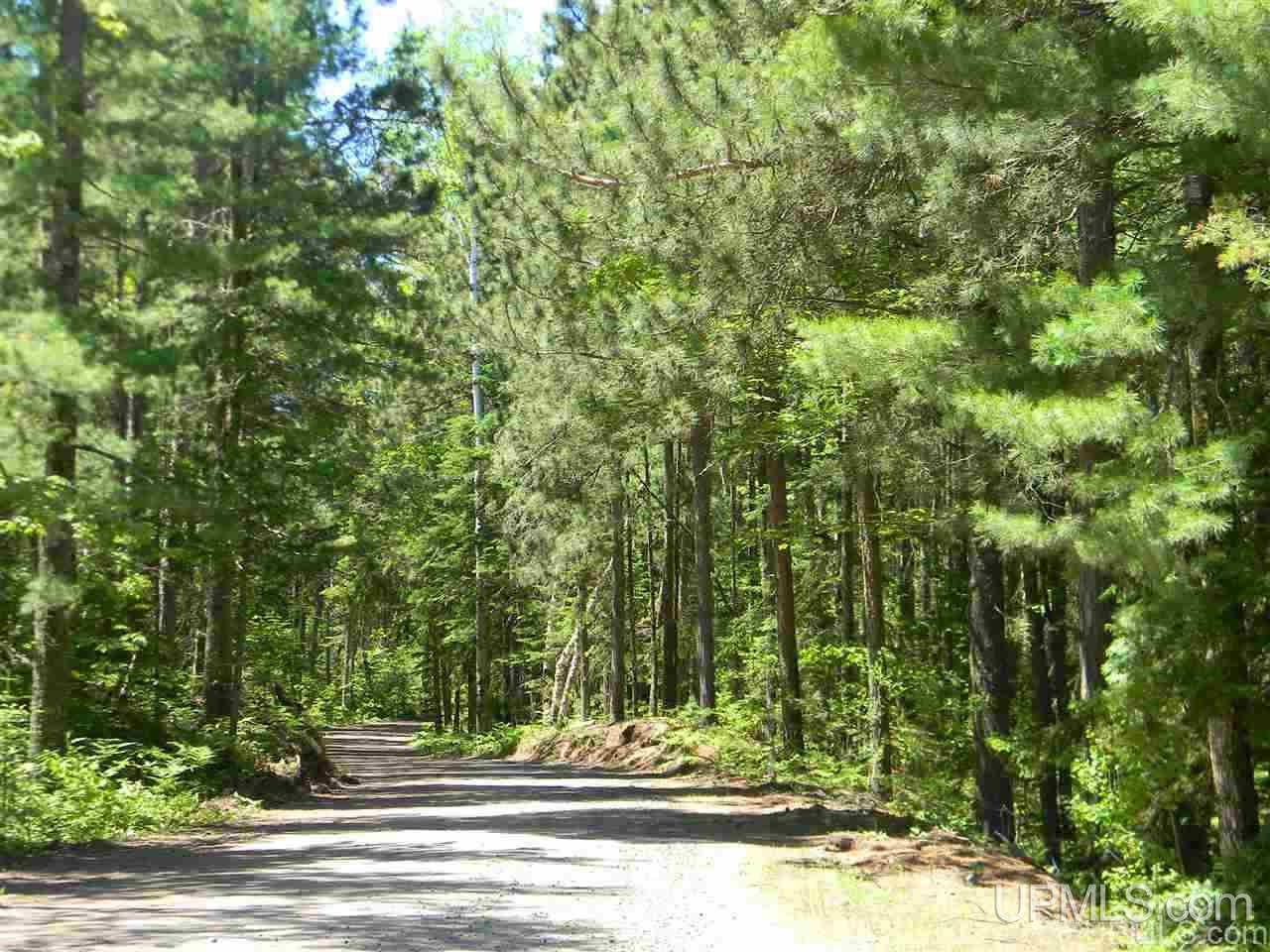 Tbd Seven Mile Point Road, Unit LOT 15 Allouez, MI 49805 - Photo 11 of 19