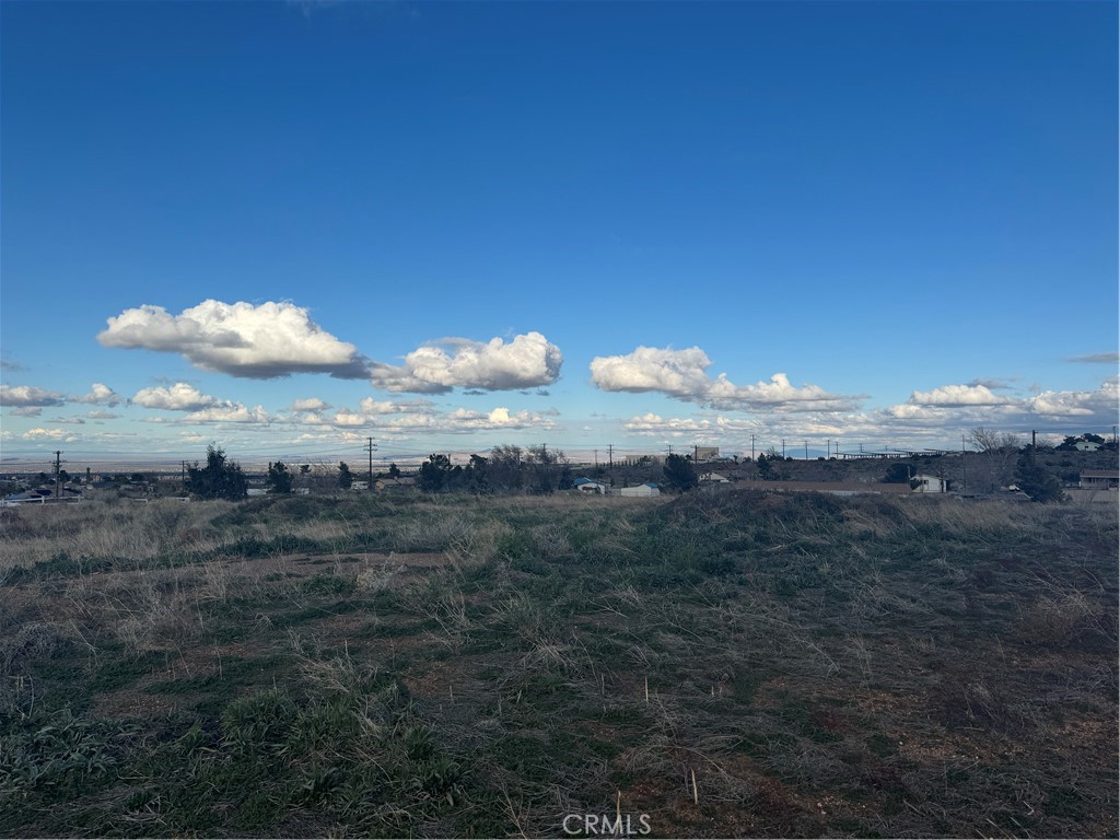 8833 Lebec Road Phelan, CA 92371 - Photo 1 of 1 a view of a dry yard with wooden fence