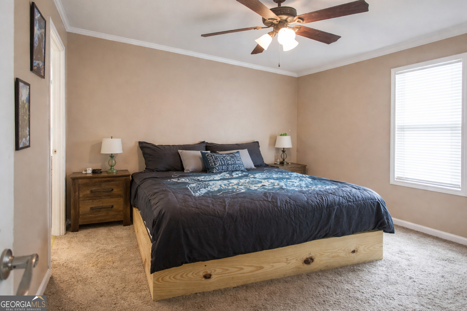 325 New Hope Church Road Alma, GA 31510 - Photo 8 of 18