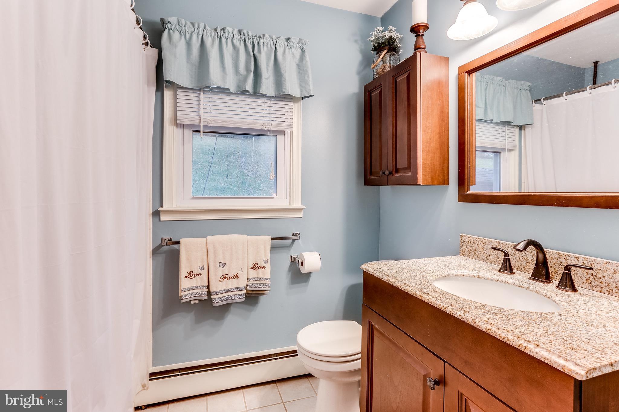 2229 Gablehammer Road Westminster, MD 21157 - Photo 16 of 30 a bathroom with a sink toilet and a mirror