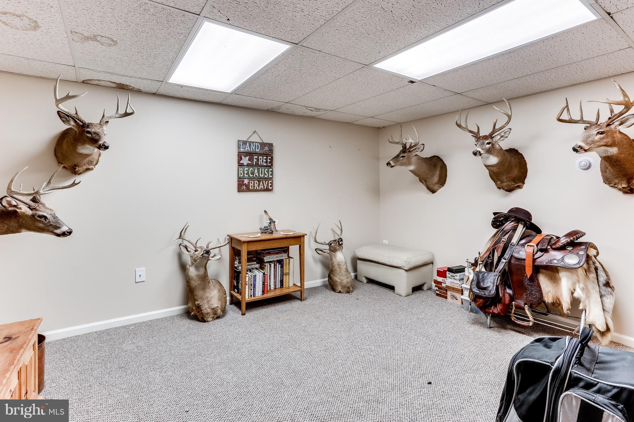 2229 Gablehammer Road Westminster, MD 21157 - Photo 23 of 30 a view of a room with gym equipment