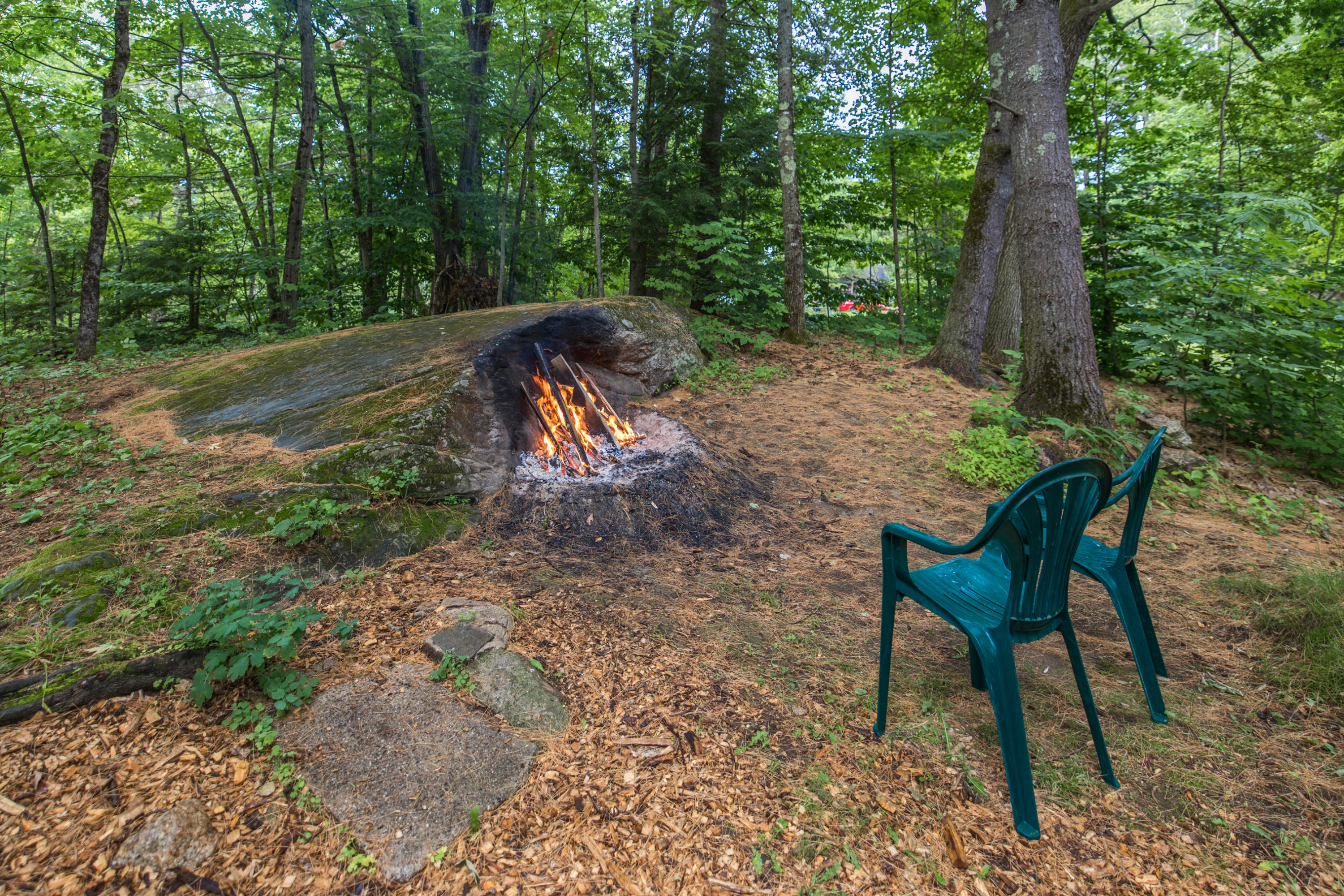 167 Hadfield Road Minot, ME 04258 - Photo 28 of 38 6I3A7933