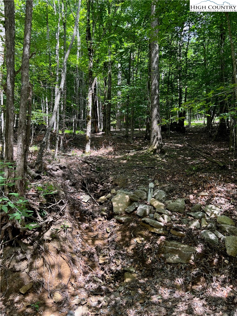 162 Hornbeam Road Beech Mountain, NC 28604 - Photo 3 of 5 a view of a forest with trees