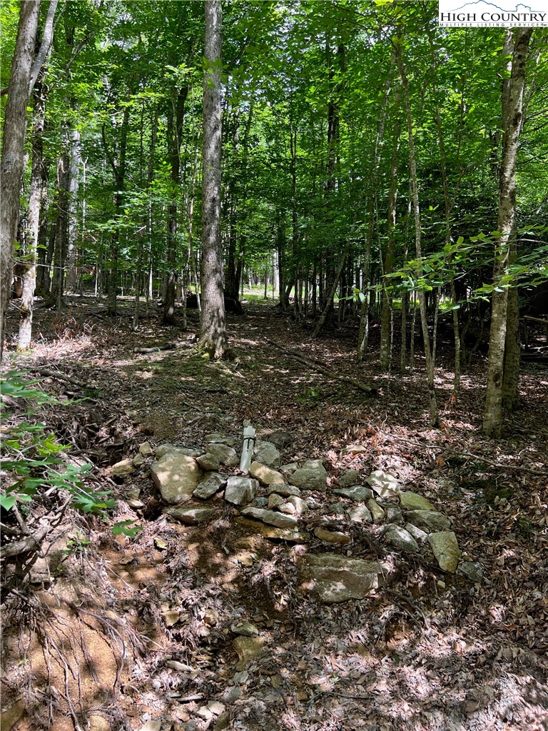162 Hornbeam Road Beech Mountain, NC 28604 - Photo 5 of 5 a view of a forest with trees in the background