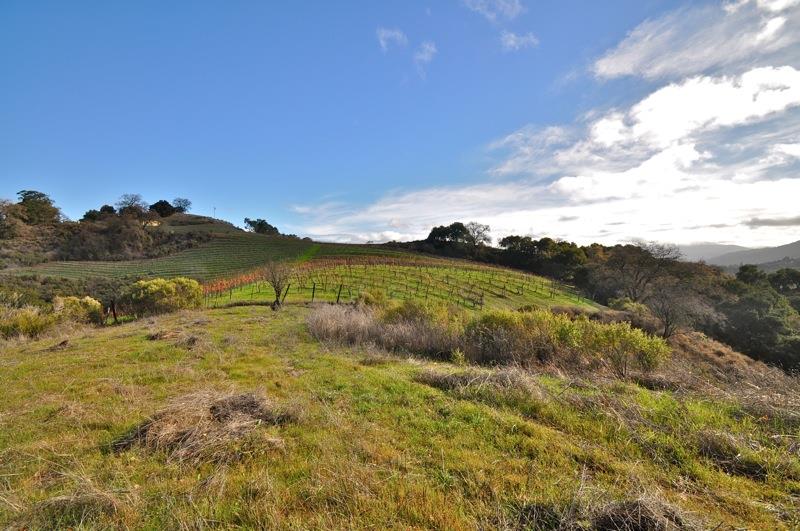 0 Mt Eden Road Saratoga, CA 95070 - Photo 13 of 27