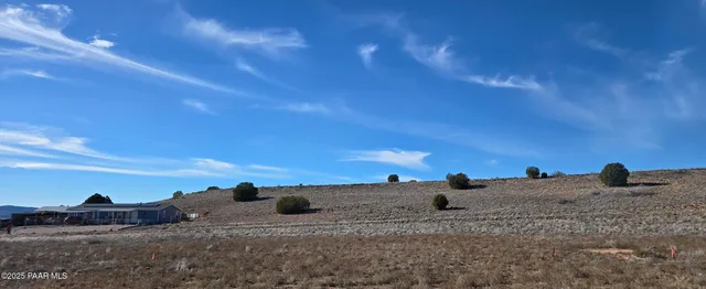 a view of a dry space with a mountain in the background